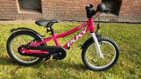 Puky Kinderfahrrad 16" (Ab ca. 4 + Jahren) 7,6 kg  NEU Hamburg-Nord - Hamburg Barmbek Vorschau