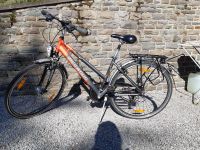 Damen Trekking-Bike Pegasus Nordrhein-Westfalen - Monschau Vorschau