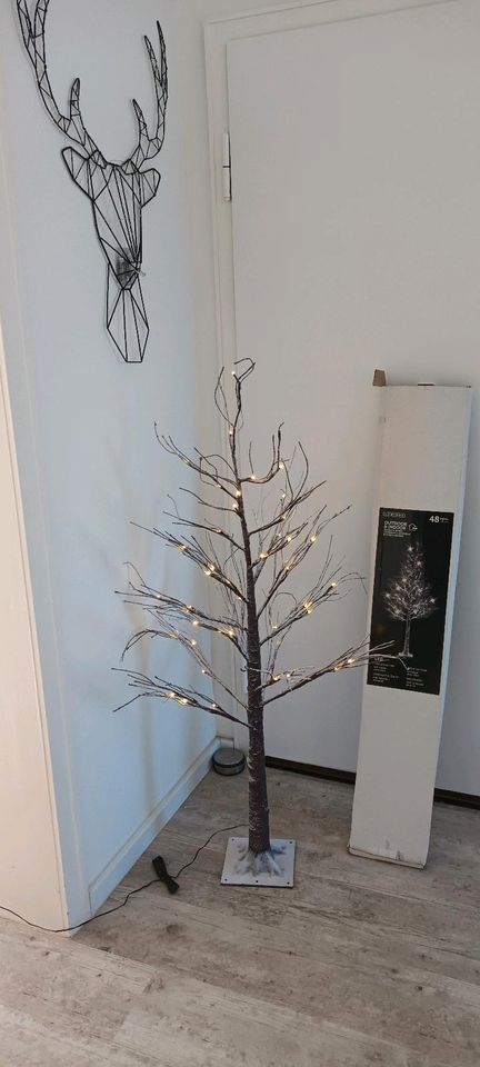 Weihnachtsbaum Baum Deko Winter in Aachen