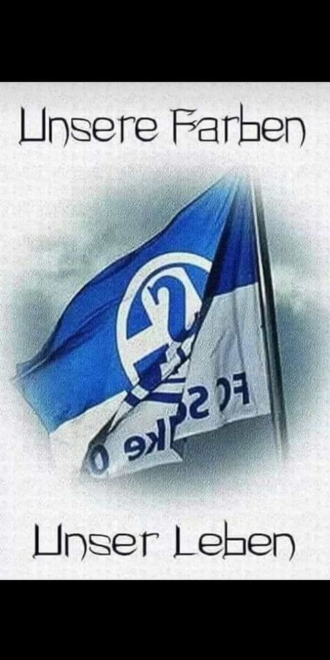 Schalke Dauerkarten gesucht für 24/25 in Bissendorf