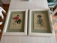 Zwei Bilder Set gerahmte Blumen von IKEA Niedersachsen - Wedemark Vorschau