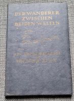 Buch 1.Weltkrieg 1918 Walter Flex "Der Wanderer zw. beiden Welten Sachsen - Seifhennersdorf Vorschau