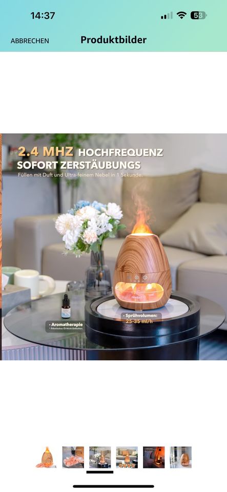 Aroma Diffuser Ätherische Öle Salzlampe Flammeneffekt in Dessau-Roßlau