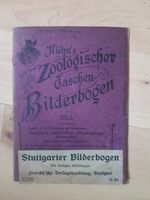 Kühn's Zoologischer Taschen-Bilderbogen, ca. 1918, Reptilien etc. Thüringen - Jena Vorschau