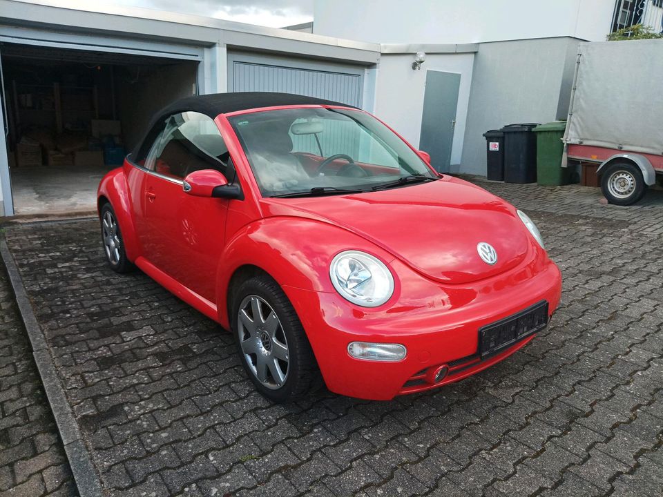 VW New Beetle in Münchweiler an der Alsenz