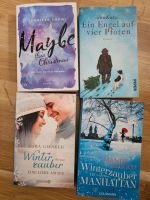 Weihnachten / Winter / Liebe / Romane / Bücher Sachsen - Zwickau Vorschau