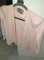 Damenblazer Rose Nordrhein-Westfalen - Gronau (Westfalen) Vorschau