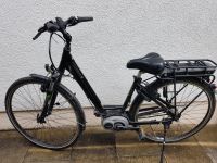 ebike pegasus solero er7 Baden-Württemberg - Leonberg Vorschau