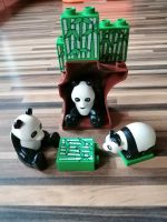 Lego Duplo Zoo Panda Pandafamilie Bayern - Fürth Vorschau