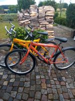26 Zoll Fahrräder Mecklenburg-Vorpommern - Kröslin Vorschau