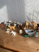 Schleich Tiere Bauernhof Nordrhein-Westfalen - Hamm Vorschau