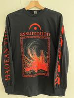 Assumption - Deathmetal Longsleeve Shirt Mortiferum Gr. M Hessen - Hadamar Vorschau