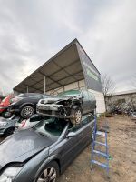 VW Golf V 1.6L 75 KW Autoteile Ersatzteile Schlachtfest Nordrhein-Westfalen - Waldbröl Vorschau