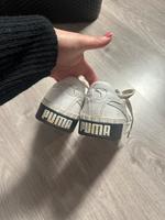 Puma Schuhe Nordrhein-Westfalen - Gummersbach Vorschau