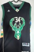 Milwaukee Bucks Trikot Giannis Antetokounmpo Größe L Niedersachsen - Syke Vorschau