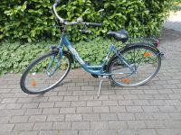 Damen Fahrrad Bergedorf - Hamburg Billwerder Vorschau