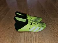 Adidas Predator Hallenschuhe 38⅔ grün Sachsen - Mockrehna Vorschau