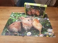 Puzzle 1000 Teile Hase Kaninchen Küken Huhn Baden-Württemberg - Seelbach Vorschau