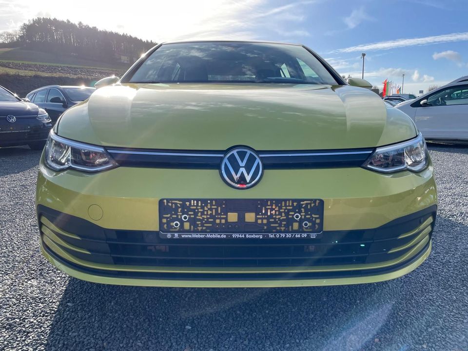 Volkswagen Golf VIII 1.5 TSI *Life*ASG*DAB*Navi*ACC*SHZ*Ein in Boxberg