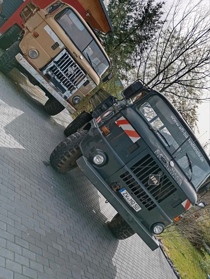 2 IFA W50 LKW mit Kipper in Lemberg