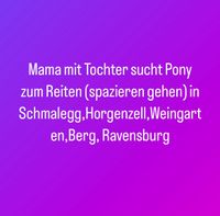 Pony zum Reiten/Spazieren gehen Baden-Württemberg - Ravensburg Vorschau