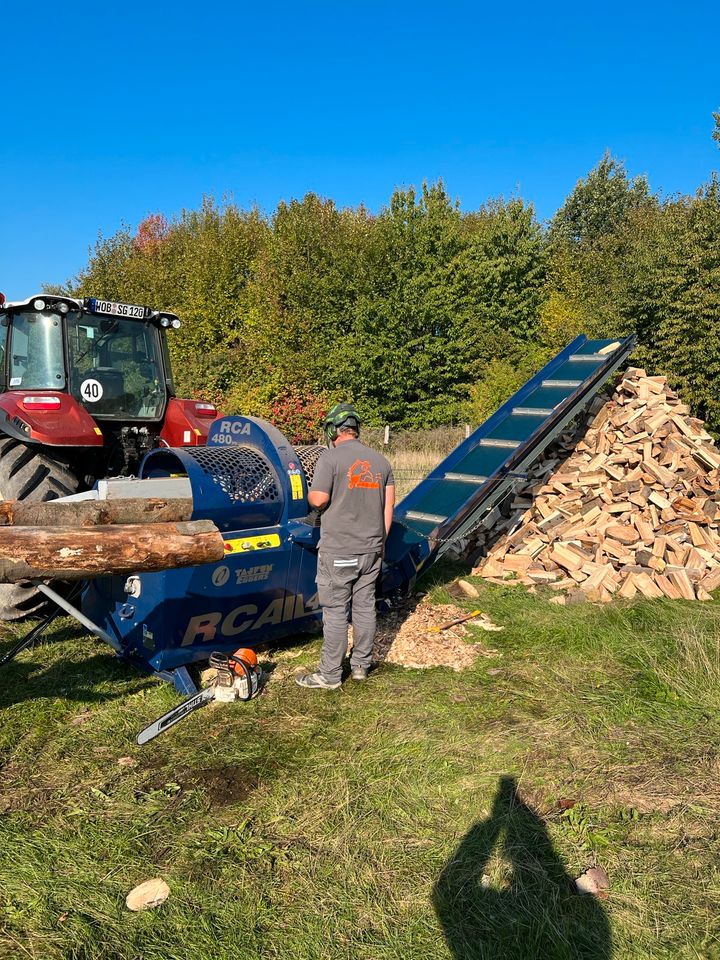 Mitarbeiter Brennholz Produktion in Jübar