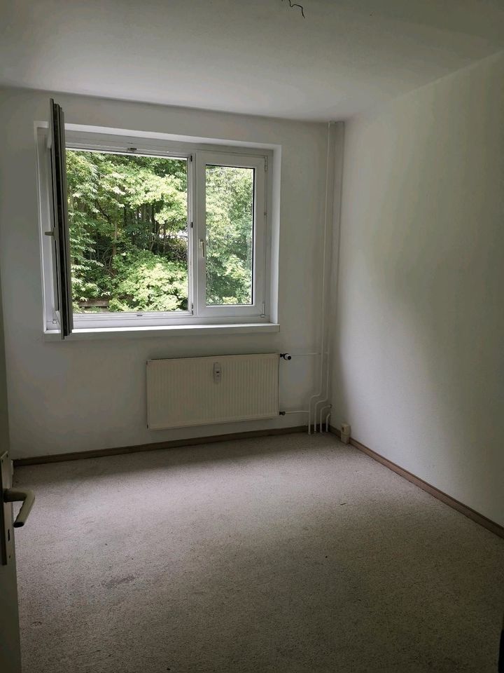 3-Zimmer-Wohnung 58 qm direkt am Stadtpark mit Balkon + Badewanne in Chemnitz