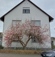 2-Familienhaus von privat zu verkaufen Hessen - Langen (Hessen) Vorschau