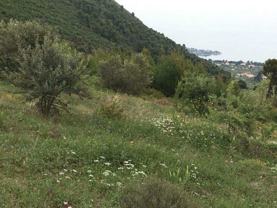 Baugrundstück Grundstück Griechenland Insel Evia/Euböa   2700qm!! in Darmstadt