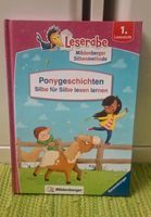 Ponygeschichten Sachsen-Anhalt - Wernigerode Vorschau