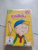 Caillou DVD Box 10 DVD's 117 Folgen Sammelbox Kinderwissen Sachsen - Göda Vorschau
