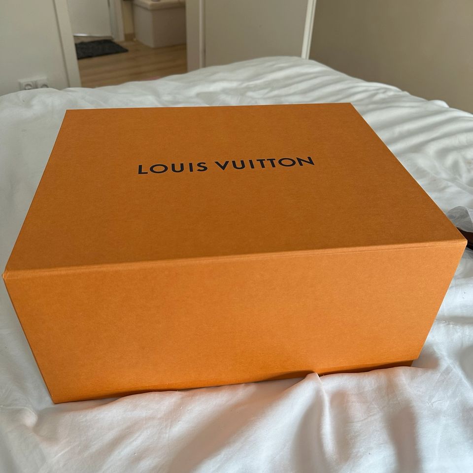 Originale Louis Vuitton Karton Box Groß in Mainz