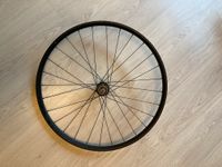 Shimano Disc Hinterrad 26 Zoll schwarz Dortmund - Persebeck Vorschau