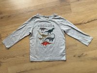 Langarmshirt Dinosaurier Gr.110/116 Berlin - Steglitz Vorschau