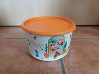 Tupperware Minnie Mouse Behälter Niedersachsen - Harsefeld Vorschau