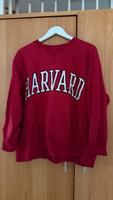 ZARA Sweatshirt rot (L) KEIN VERSAND ;) Bayern - Hirschaid Vorschau
