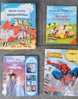 Kinderbücher, Spiderman, Eiskönigin, Ente Quatsch,Bibelgeschicht Ludwigslust - Landkreis - Grabow Vorschau