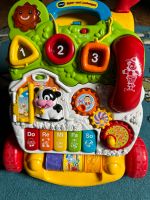 vtech® Spiel- und Laufwagen Farbe Colorful Schleswig-Holstein - Itzehoe Vorschau