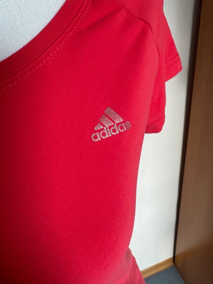 Adidas Sportshirt S in Borken