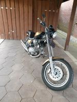 Yamaha Virago XV 1100 Chopper Schleswig-Holstein - Hohenaspe Vorschau