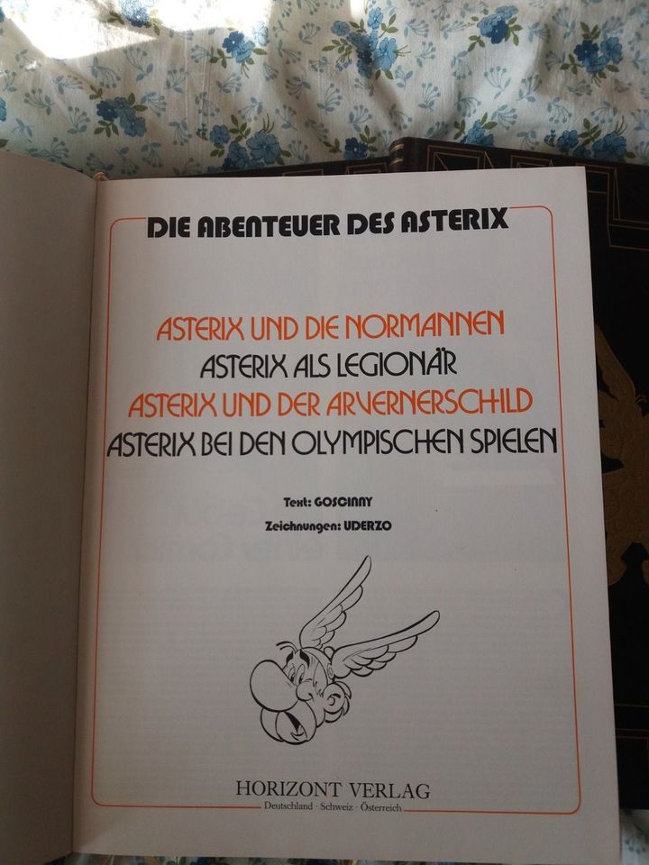 Asterix und Obelix Bücher 1-4 in Berlin