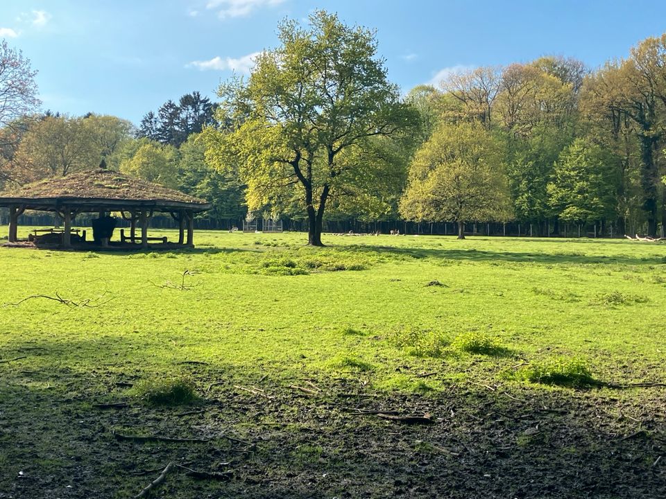 Einzelhaus (Bungalow) mit eigenem gr.Garten am Niendorfer Gehege in Hamburg