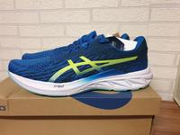 Asics  Dynablast 2 Herren Laufschuhe Gr. 50.5 Neu Brandenburg - Strausberg Vorschau