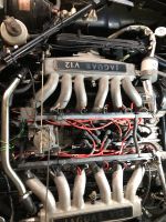 Umbau auf frei programmierbares Motorensteuergerät Jaguar V12 XJ Baden-Württemberg - Engen Vorschau