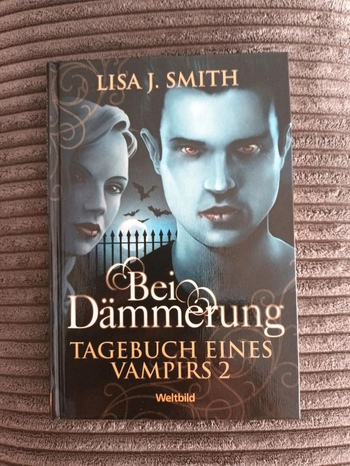 Bei Dämmerung -Tagebuch eines Vampirs- in Forchheim
