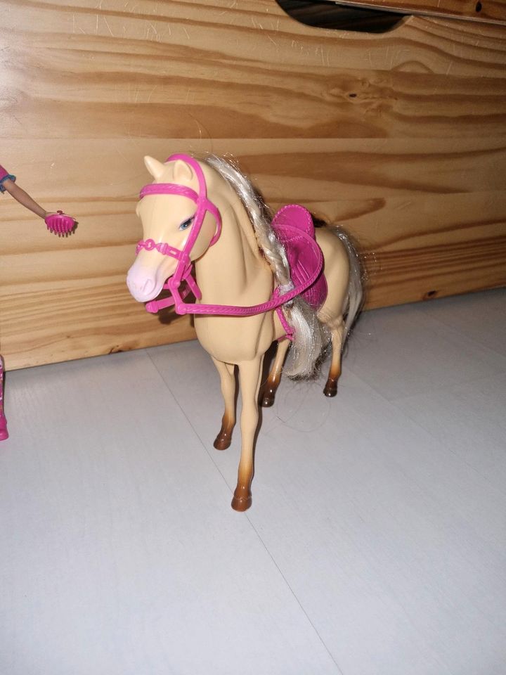 Barbie mit Pferd und Zubehör in Osnabrück