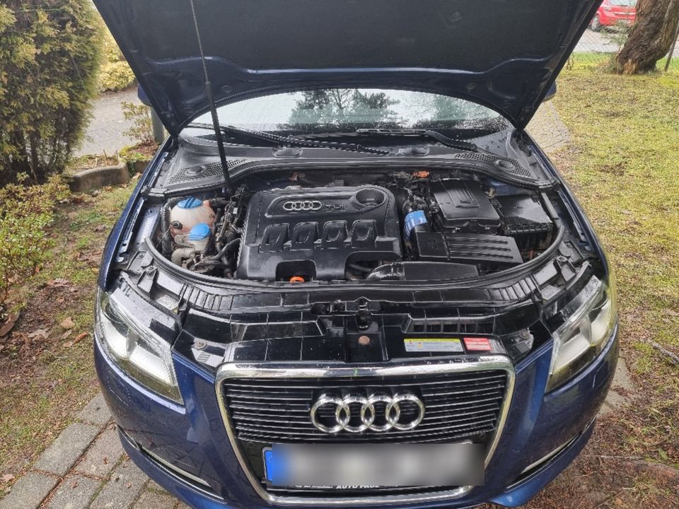 Audi A3 Sportback in sehr gutem Zustand in Ebersbach/Sachsen