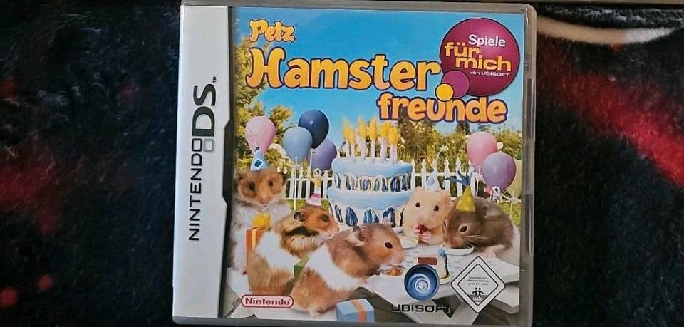 Nintendo DS Spiel in Cochstedt