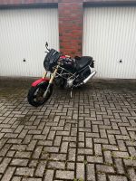 Ducati Monster 600 Baujahr 1994 18.000KM Niedersachsen - Schiffdorf Vorschau