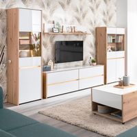 Wohnwand Schrankwand Anbauwand Wohnzimmer-Set 4 tlg. Grau VB820€* Sachsen-Anhalt - Magdeburg Vorschau